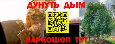 дживик Кунгур