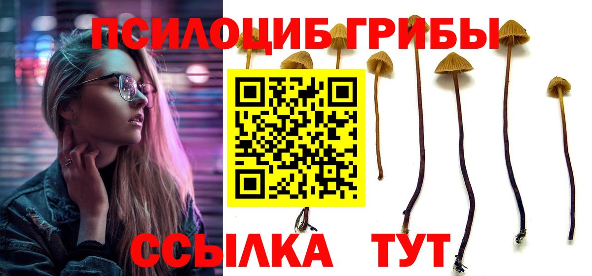 Псилоцибиновые грибы прущие грибы Свободный